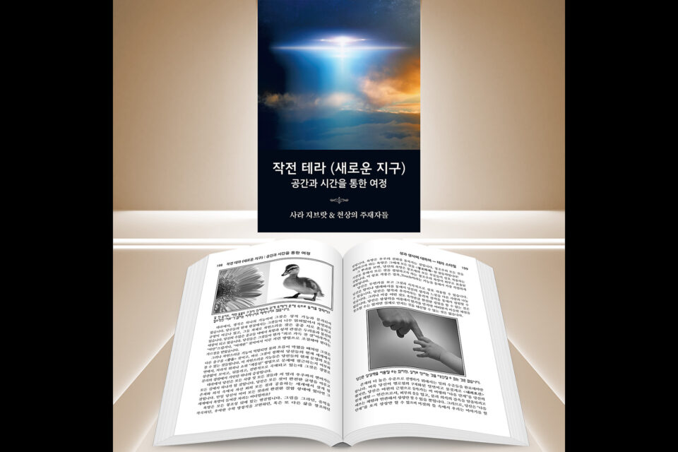 페이퍼백(종이 표지 책) 판