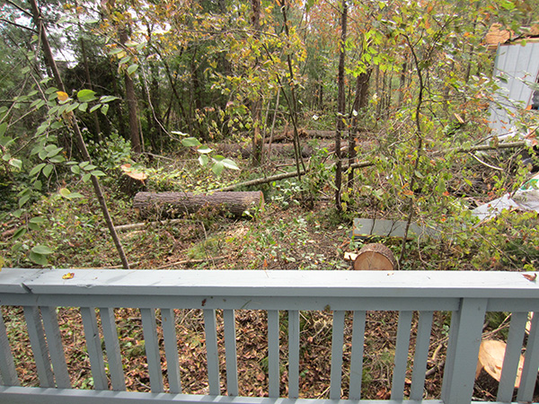 debris behind garage