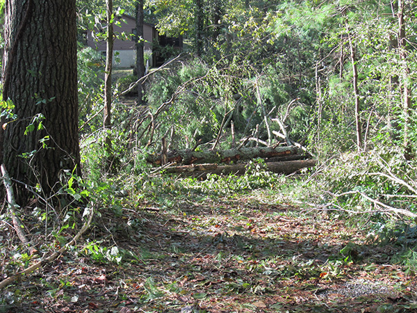 driveway before it was cleared